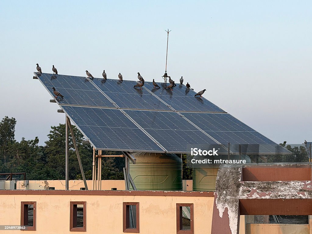 Shree Om Banna Solar  Affordable Solar Power Solutions for Homes & Businesses